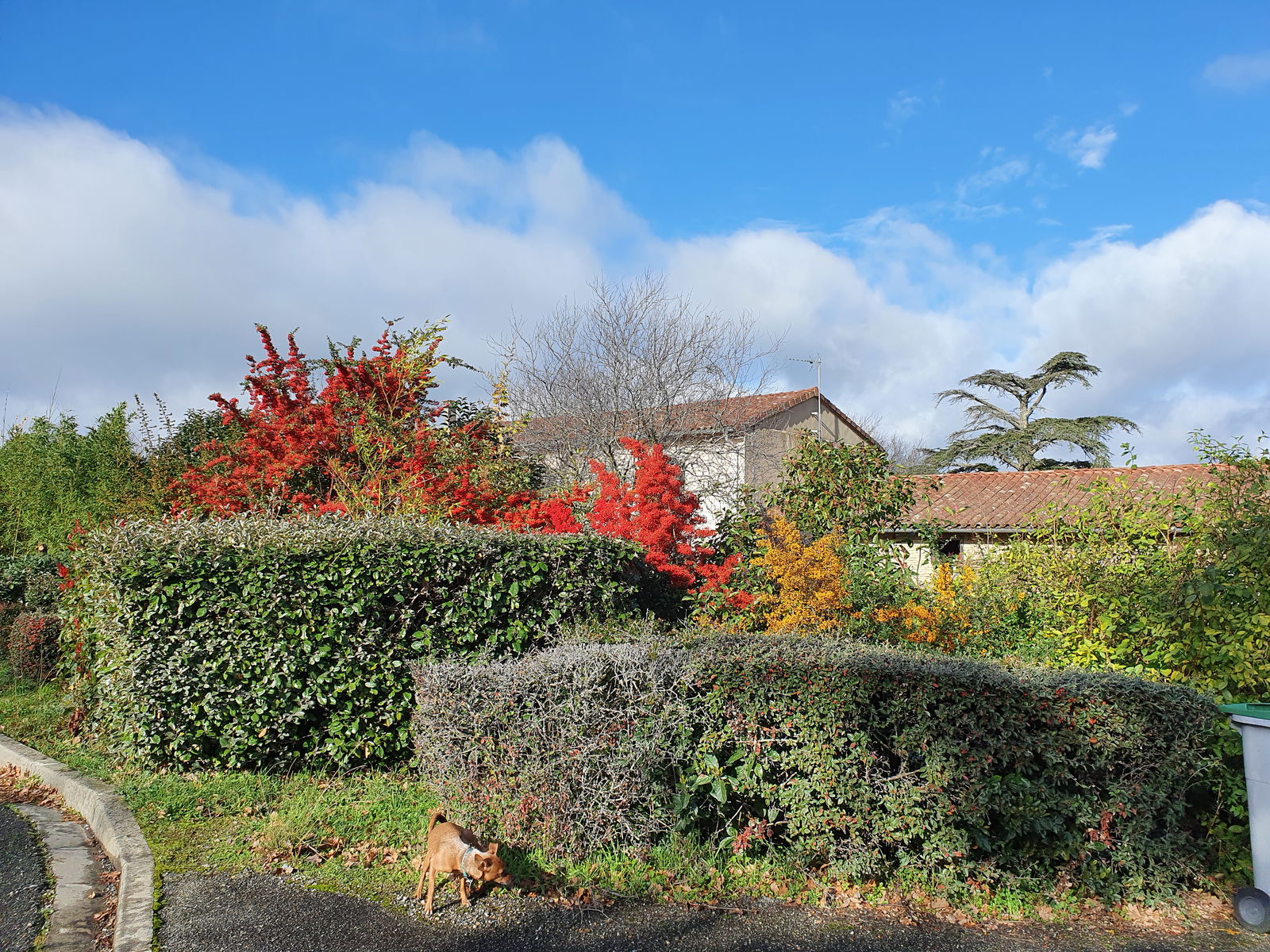 Niezależne Studio Fontenilles 556871