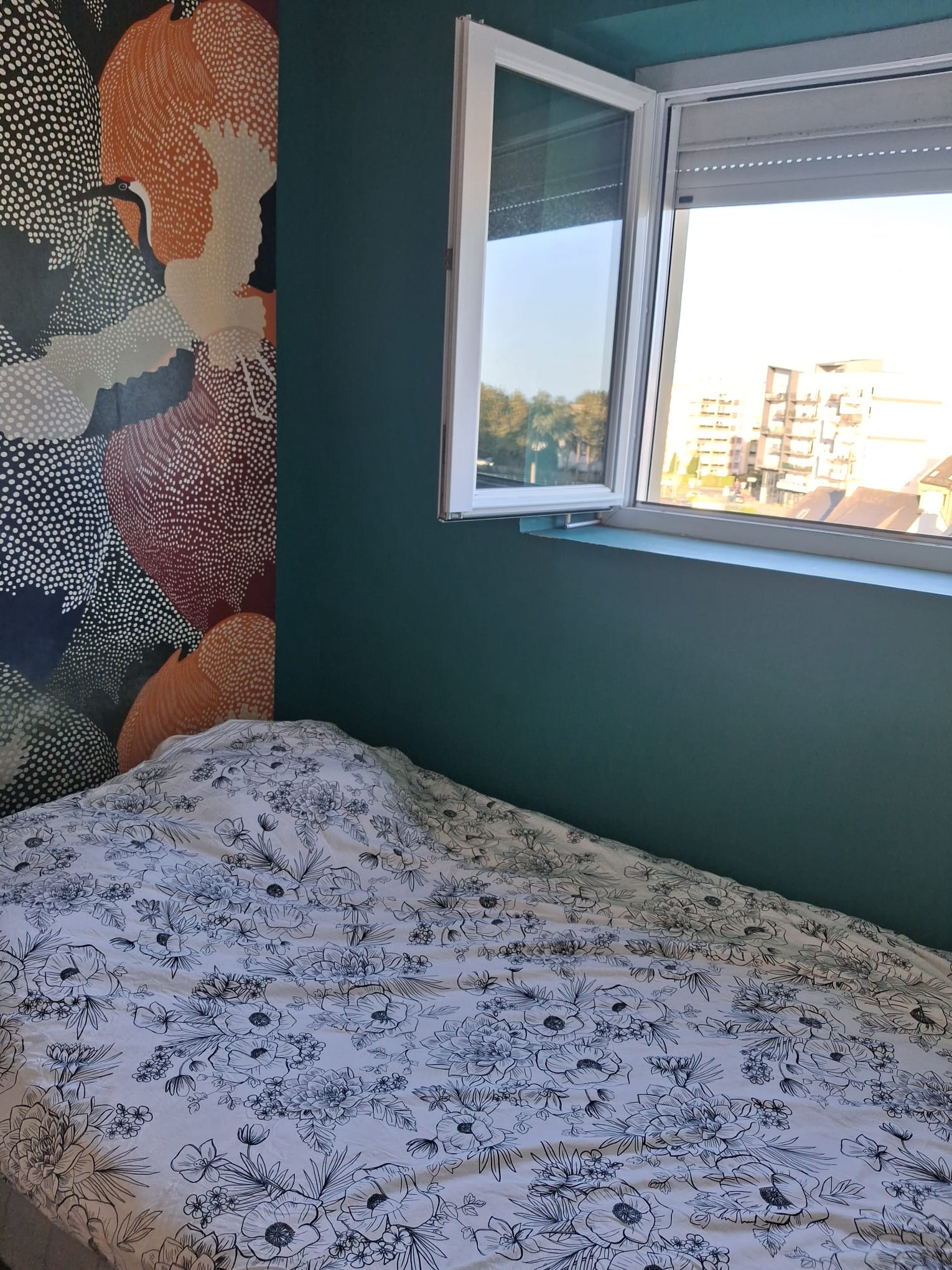 Homestay Brest 676507