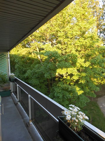 Zakwaterowanie U Rodziny Versailles 23537