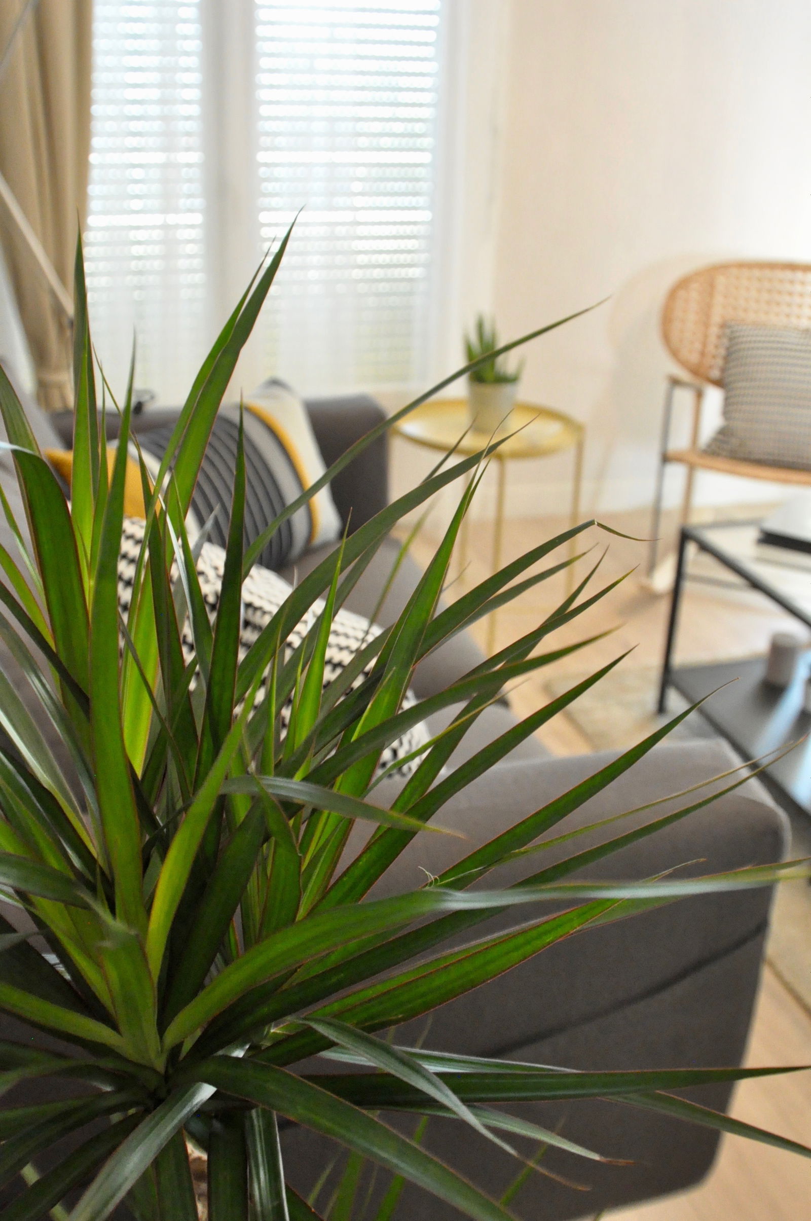 Zakwaterowanie U Rodziny Marseille 222371