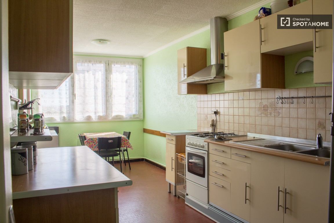 Współdzielone Mieszkanie Villeurbanne 676441