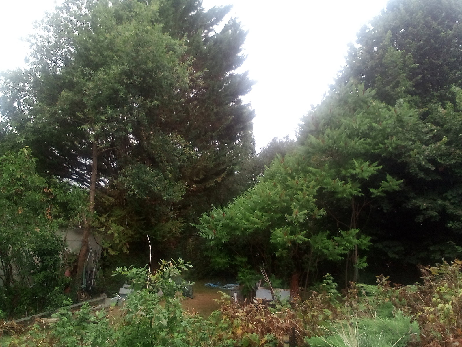 Zakwaterowanie U Rodziny Erdre-en-Anjou 561490