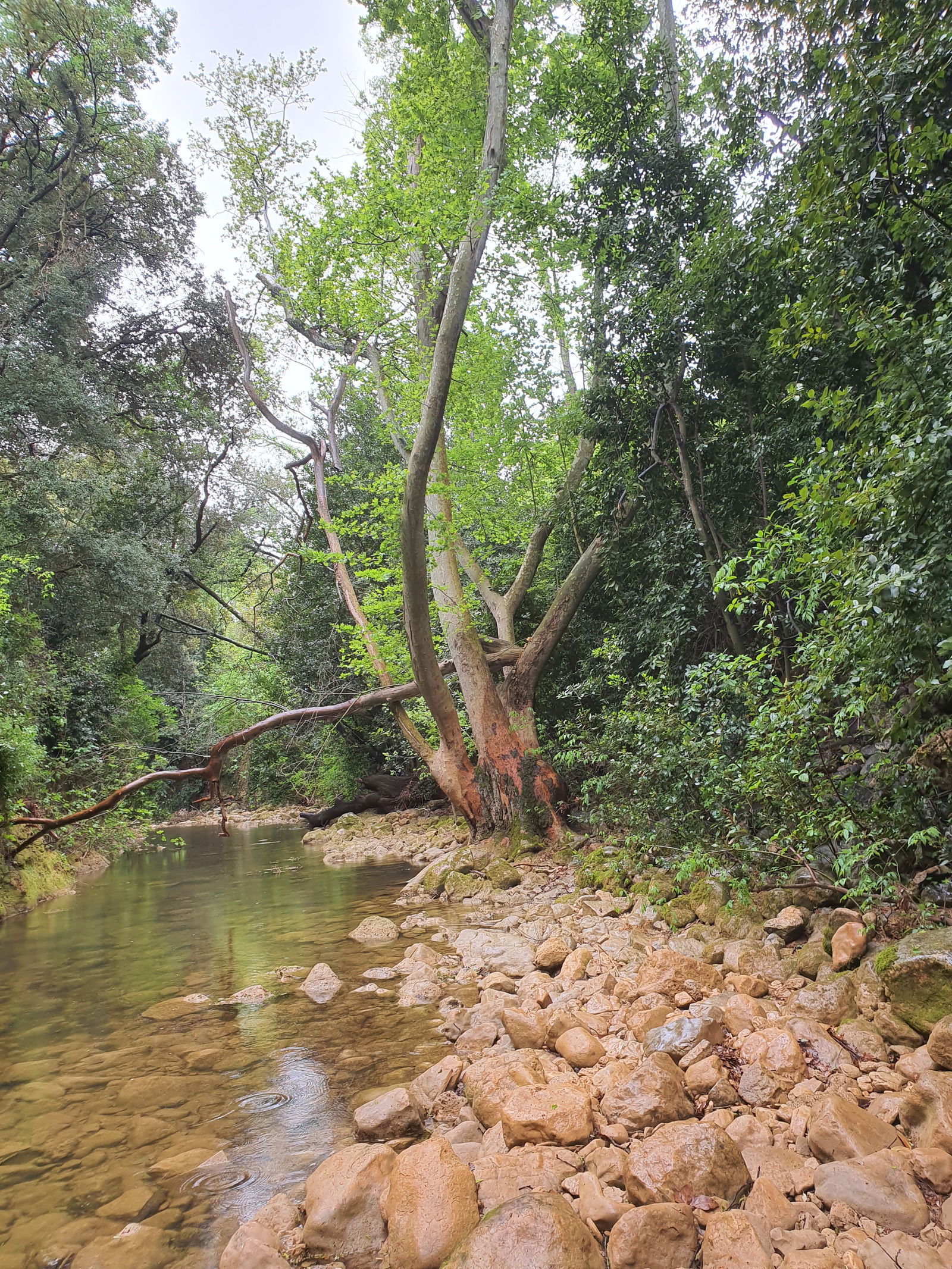 Zakwaterowanie U Rodziny Toulon 322939