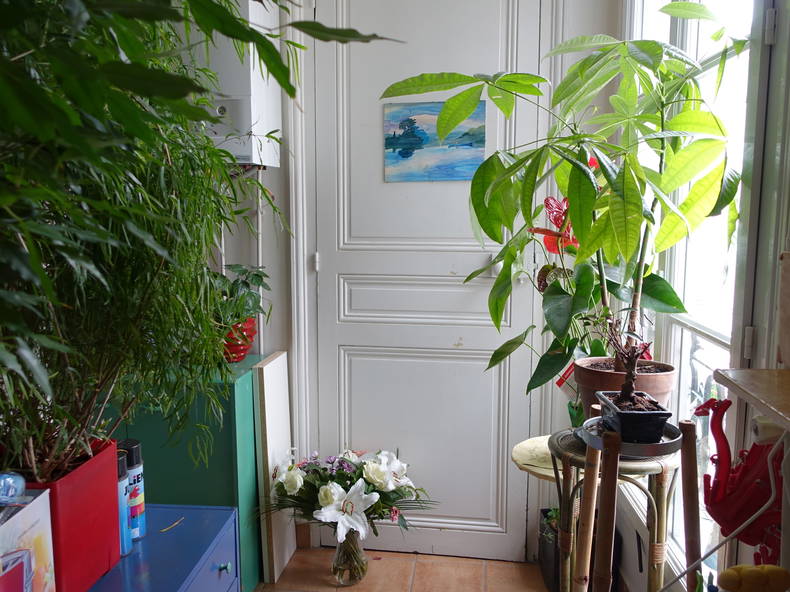 Chambre Chez L'habitant Paris 24514-4