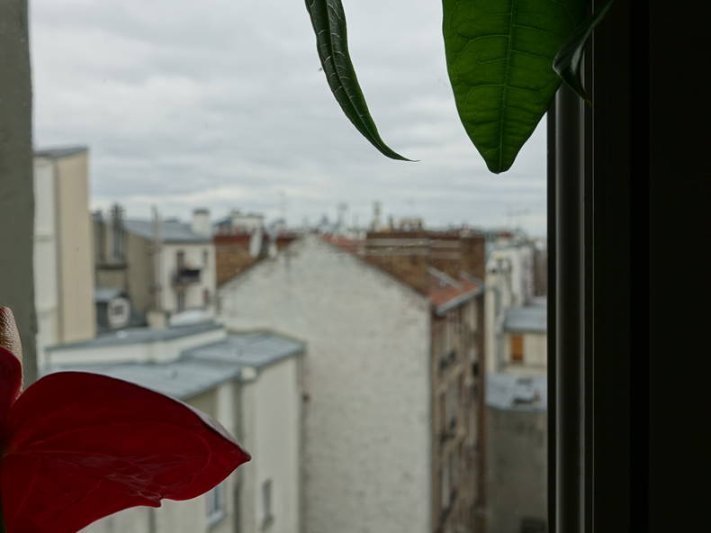 Chambre Chez L'habitant Paris 24514-5
