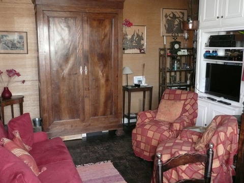 Kolokasie Paris 10374-3