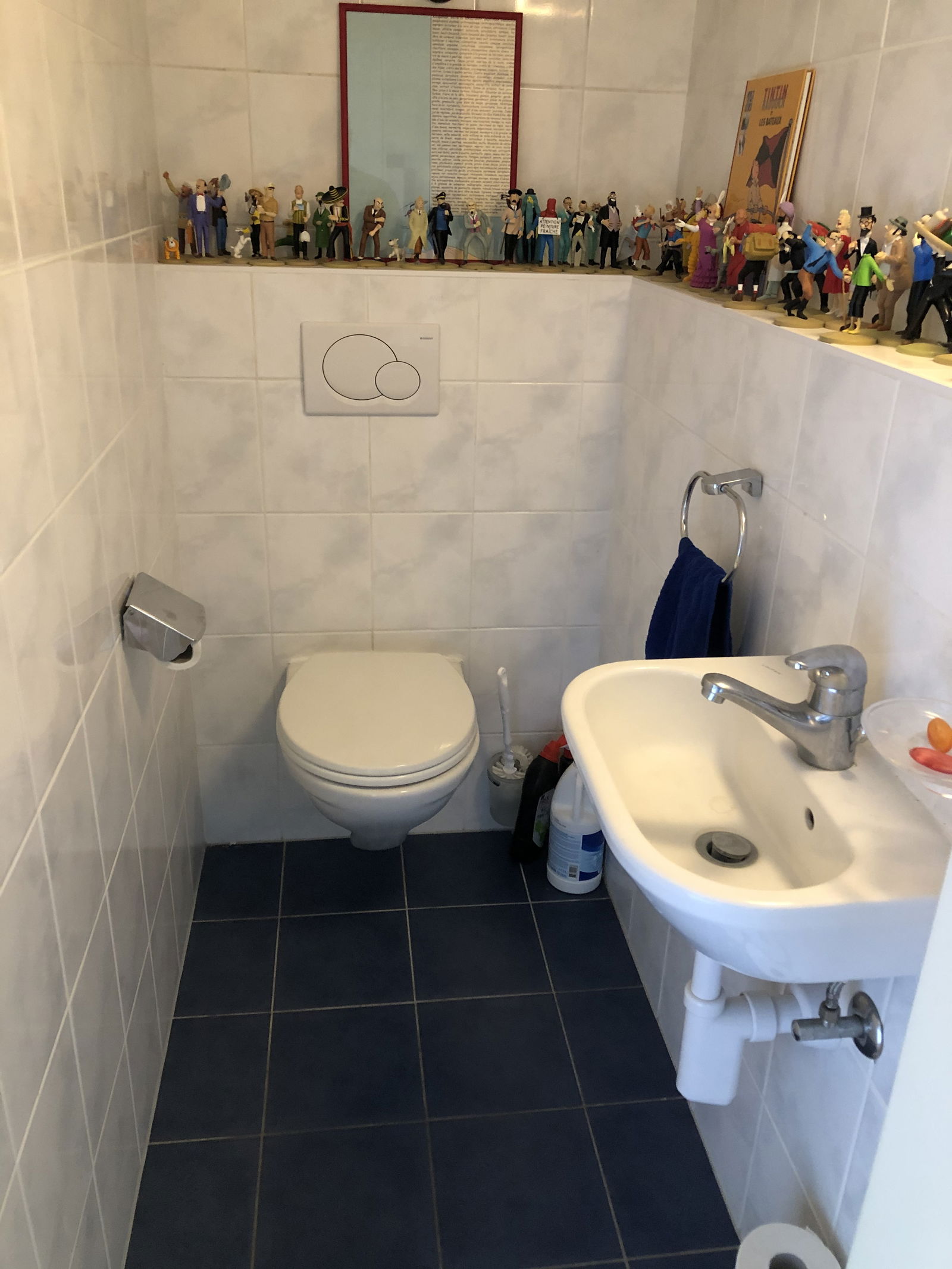 Colocación Lausanne 242405