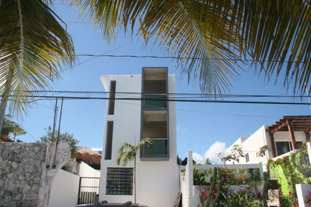 Estudio Independiente Puerto Morelos 31467