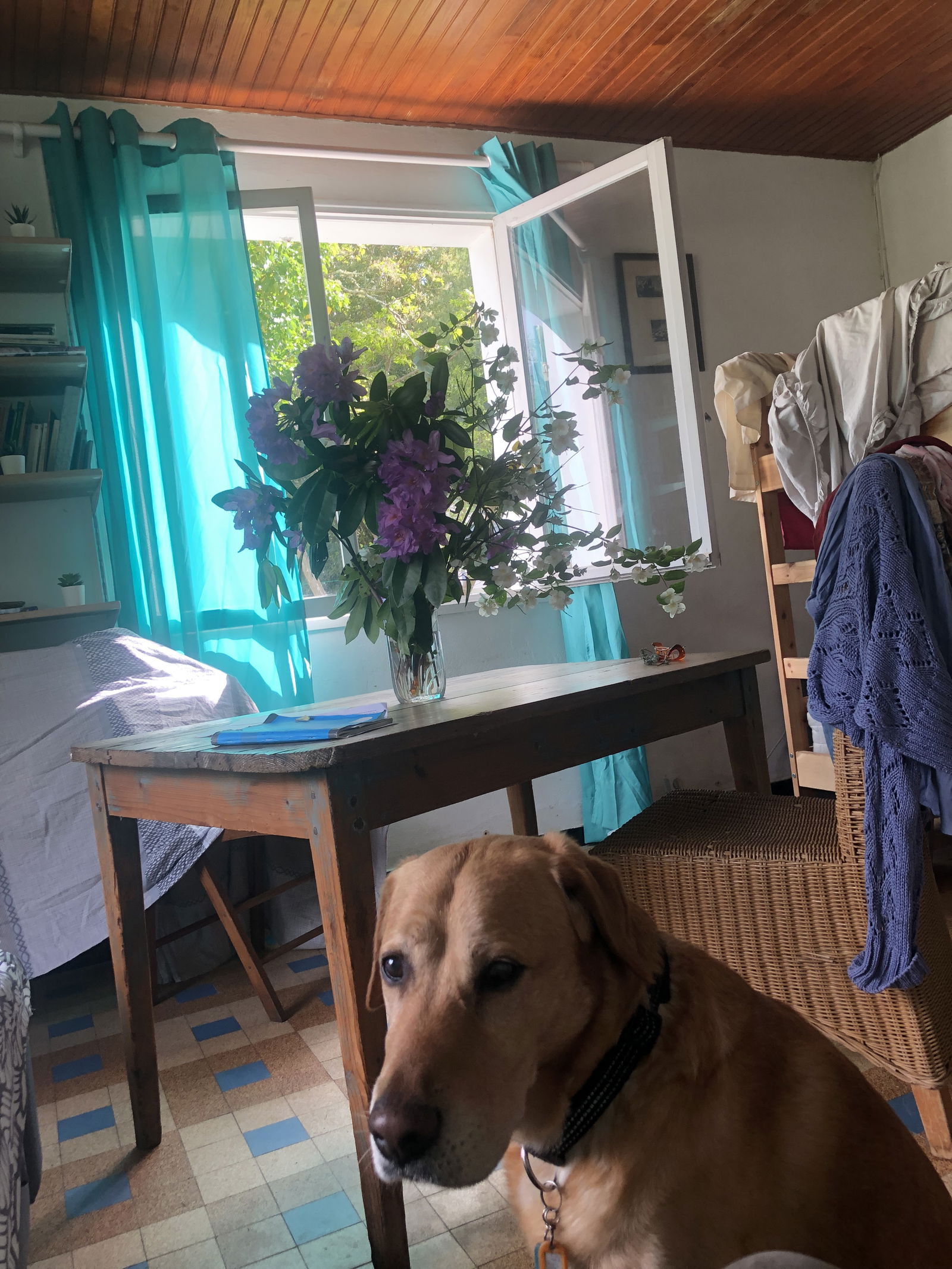 Quedarse En Casa Hourtin 247647