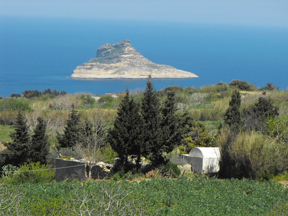 Toda La Casa Tunis 319316