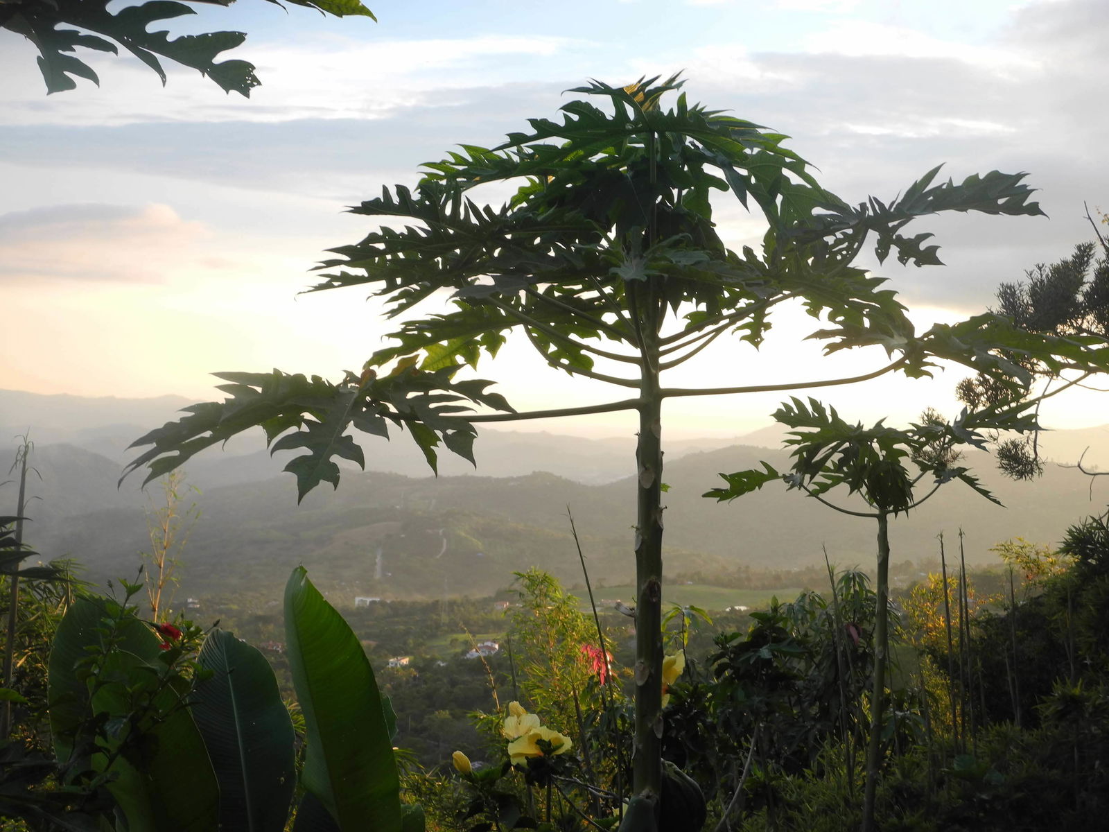 Tutta La Casa La Mesa 234589