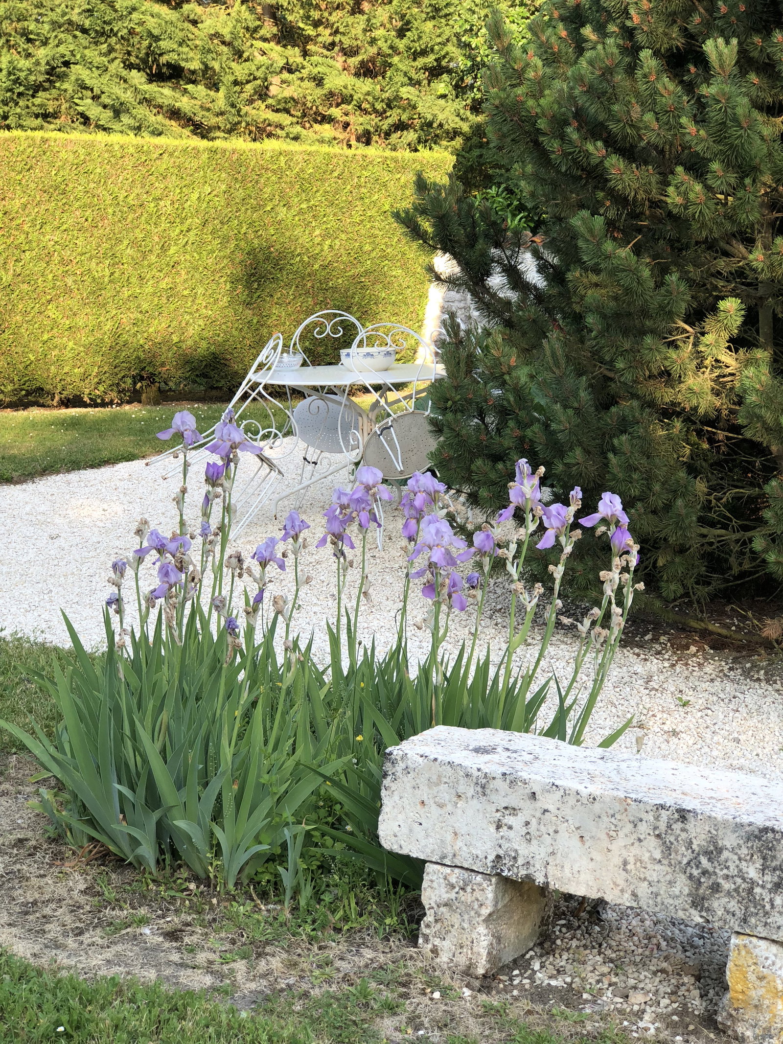 Famiglia Saint-Martial-de-Vitaterne 131986