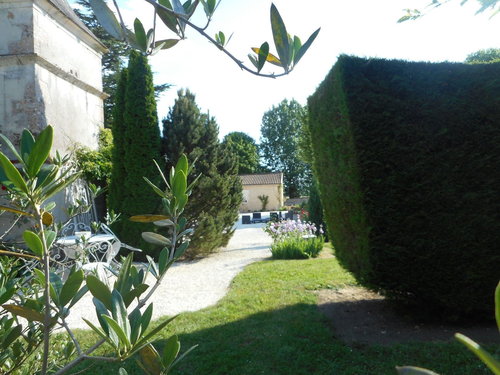 Famiglia Saint-Martial-de-Vitaterne 131986