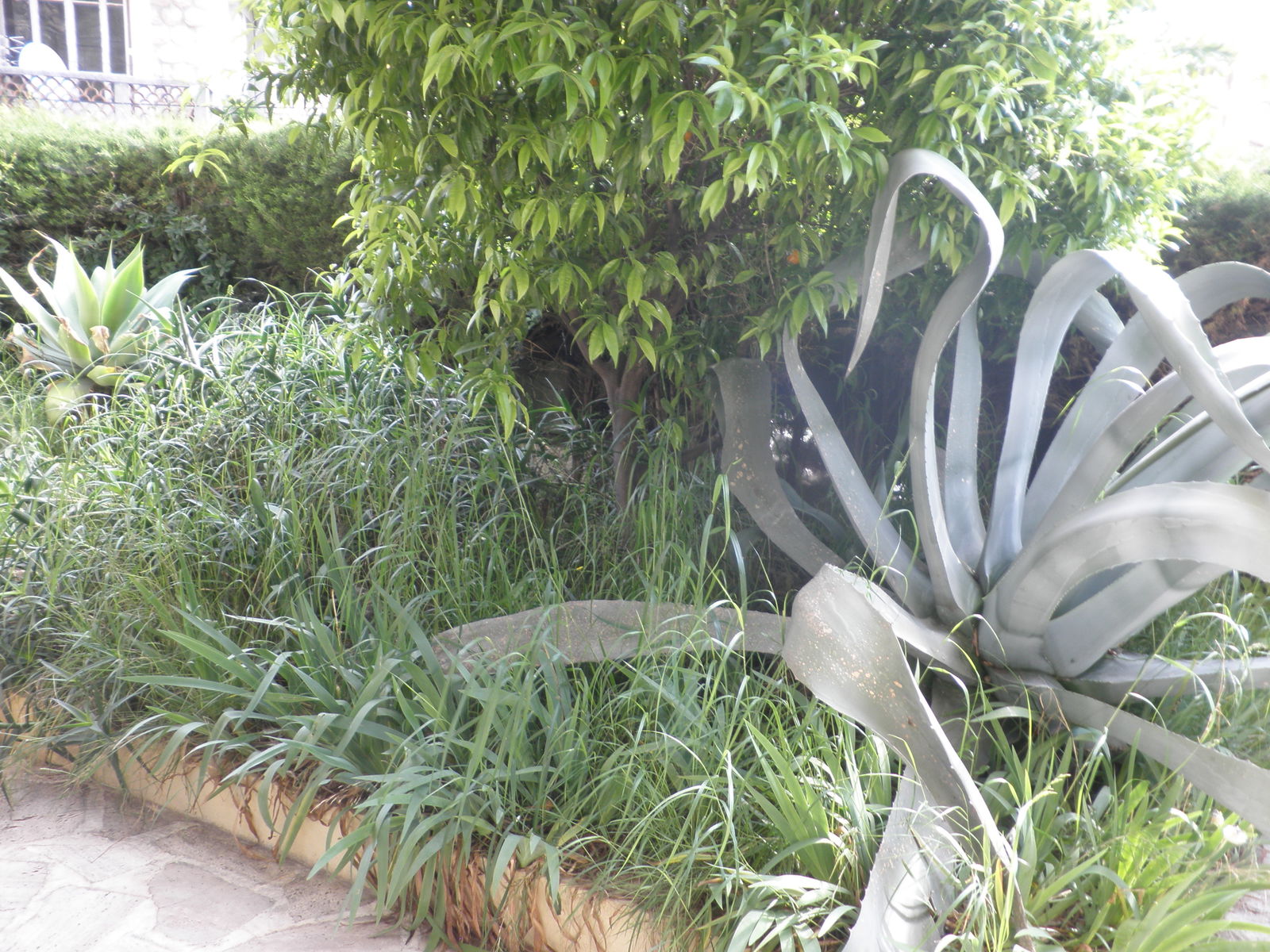 Logement Entier Le Cannet 249767