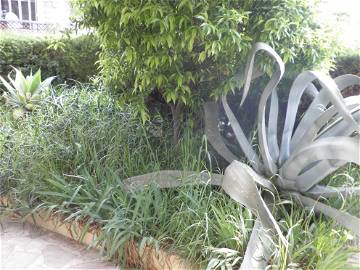 Logement Entier Le Cannet 249767-11