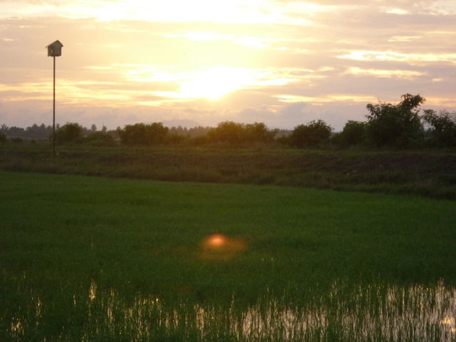 Camere Per Gli Ospiti Kuala Besut 11031