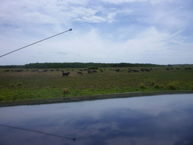 Camere Per Gli Ospiti Kuala Besut 11031