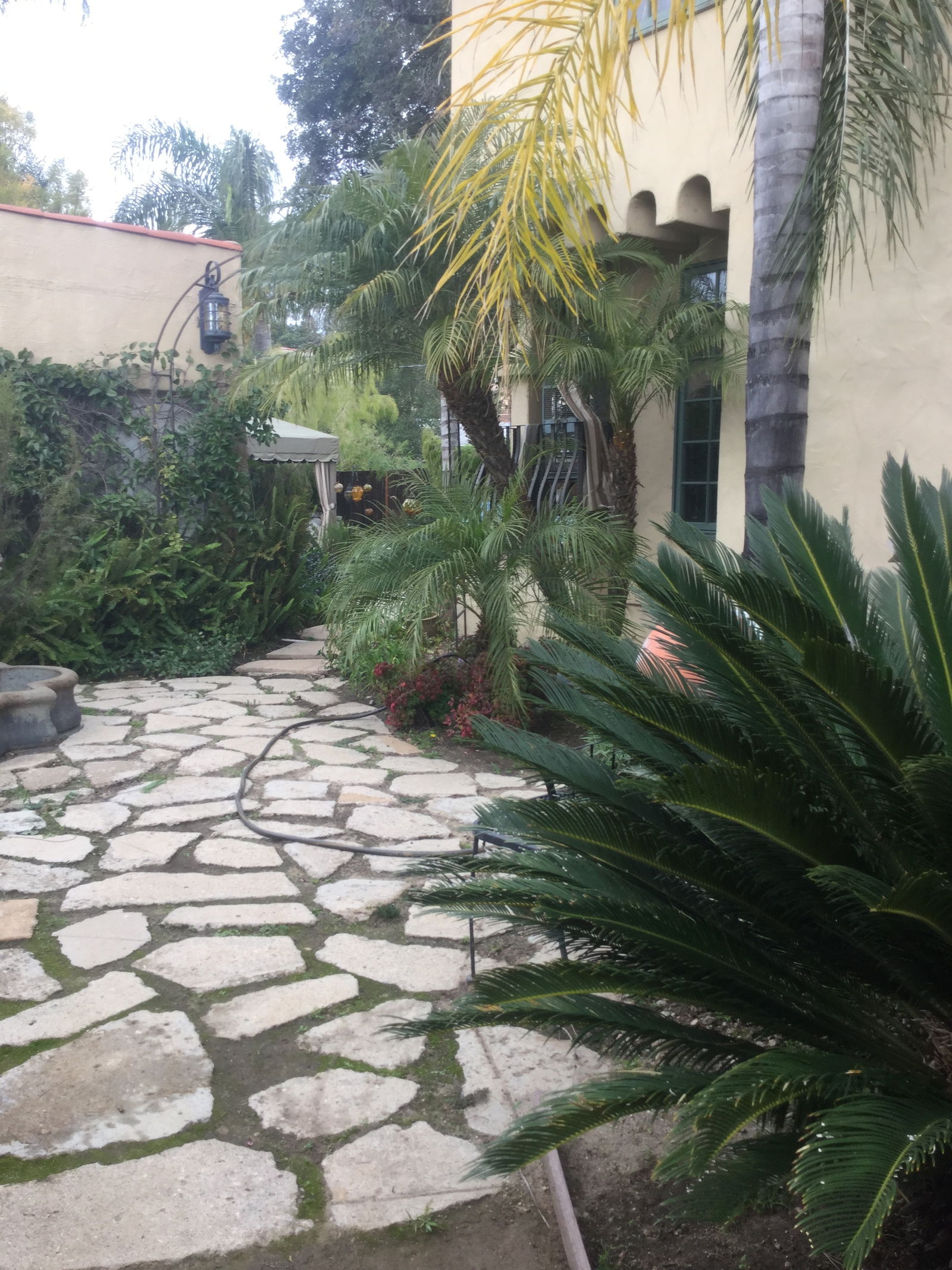 Quedarse En Casa Pasadena 218274