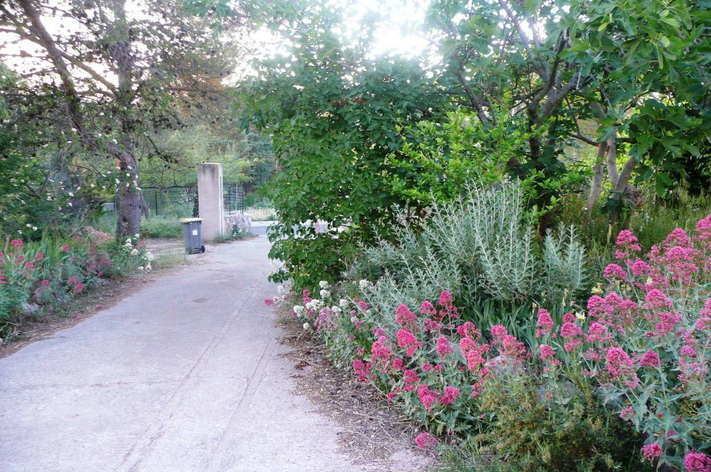 Colocación Grabels 82020