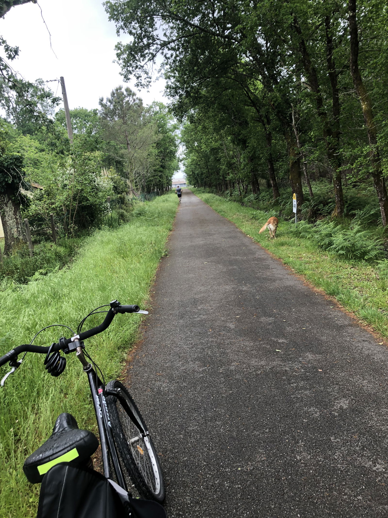 Famiglia Hourtin 247647