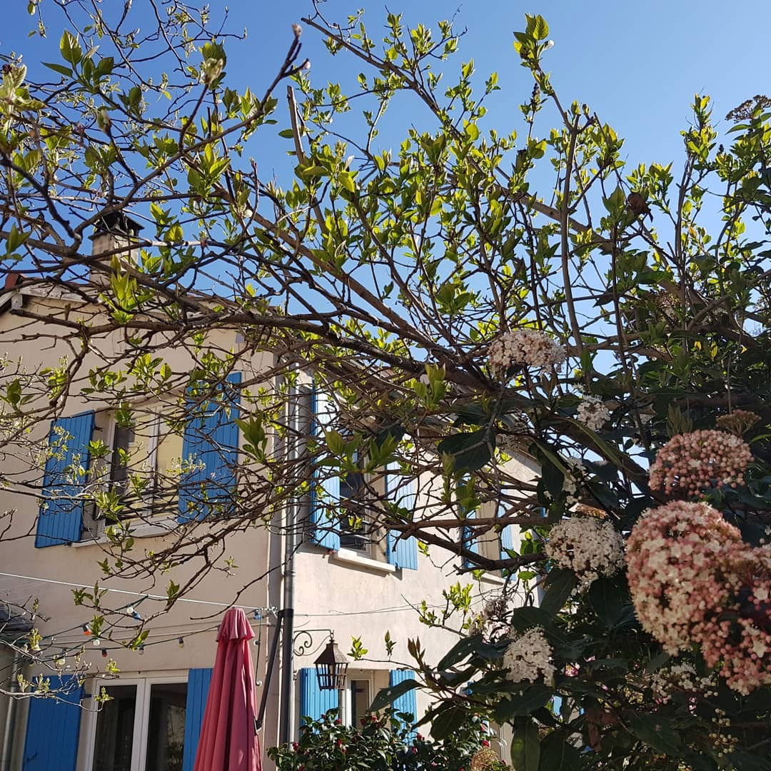 Quedarse En Casa Lyon 222578