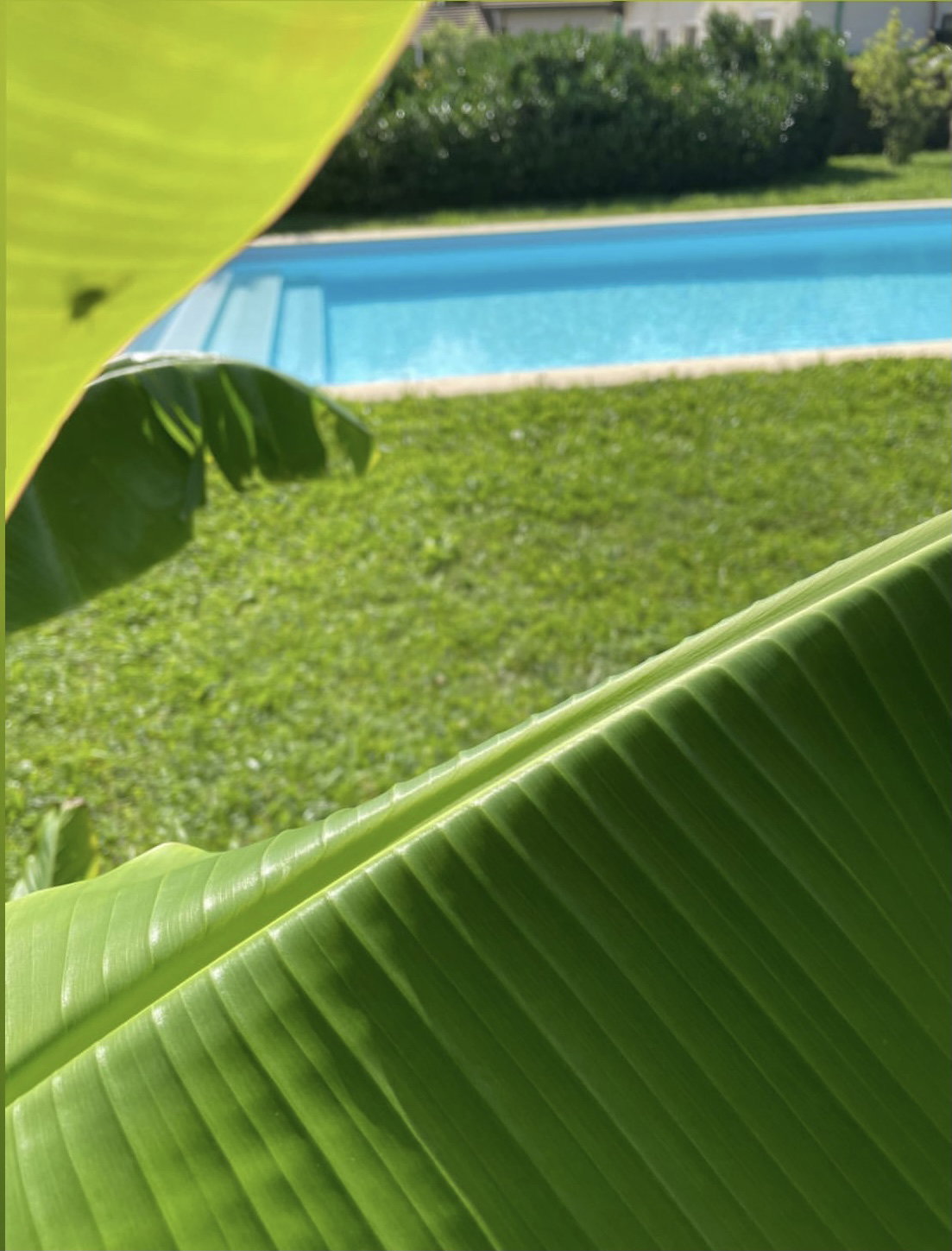 Coliving Ville-la-Grand 248638