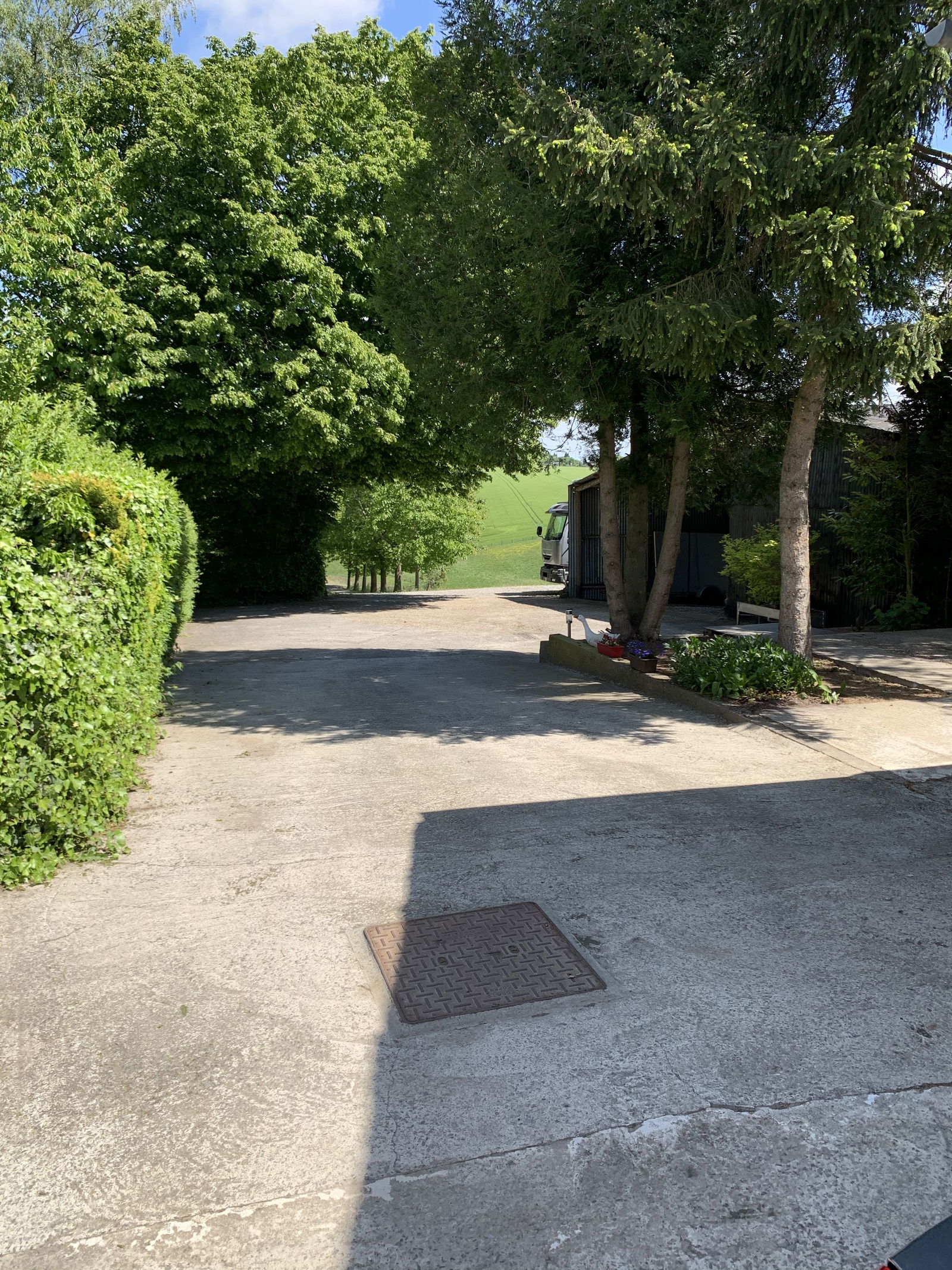 Quedarse En Casa Ohey 238717