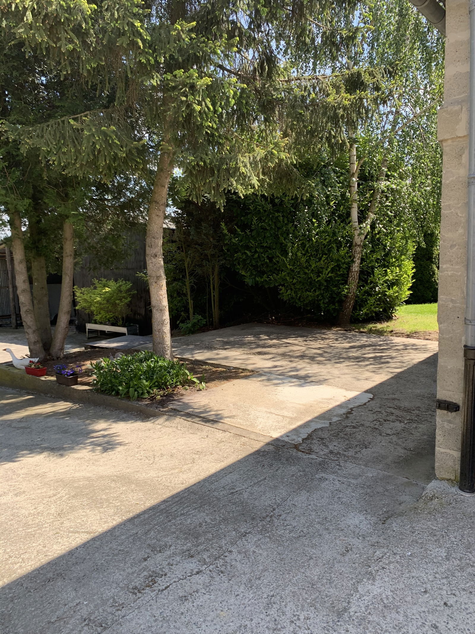 Quedarse En Casa Ohey 238717