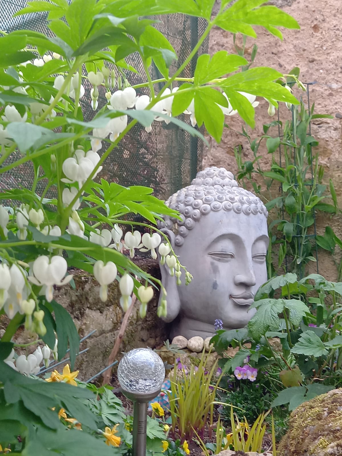 Colocación Thonon-les-Bains 266184