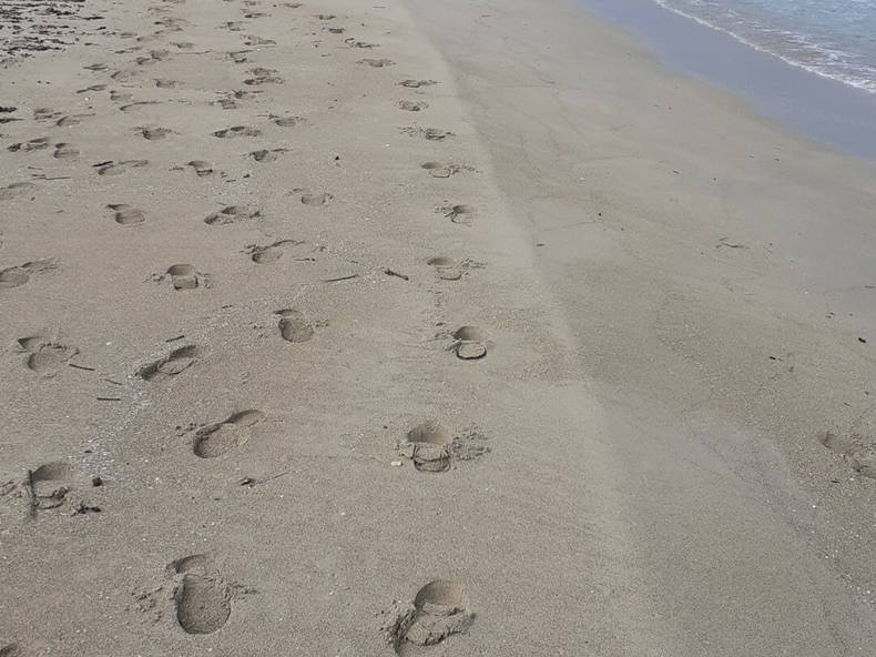 Hele Huis Lecce 246338-3