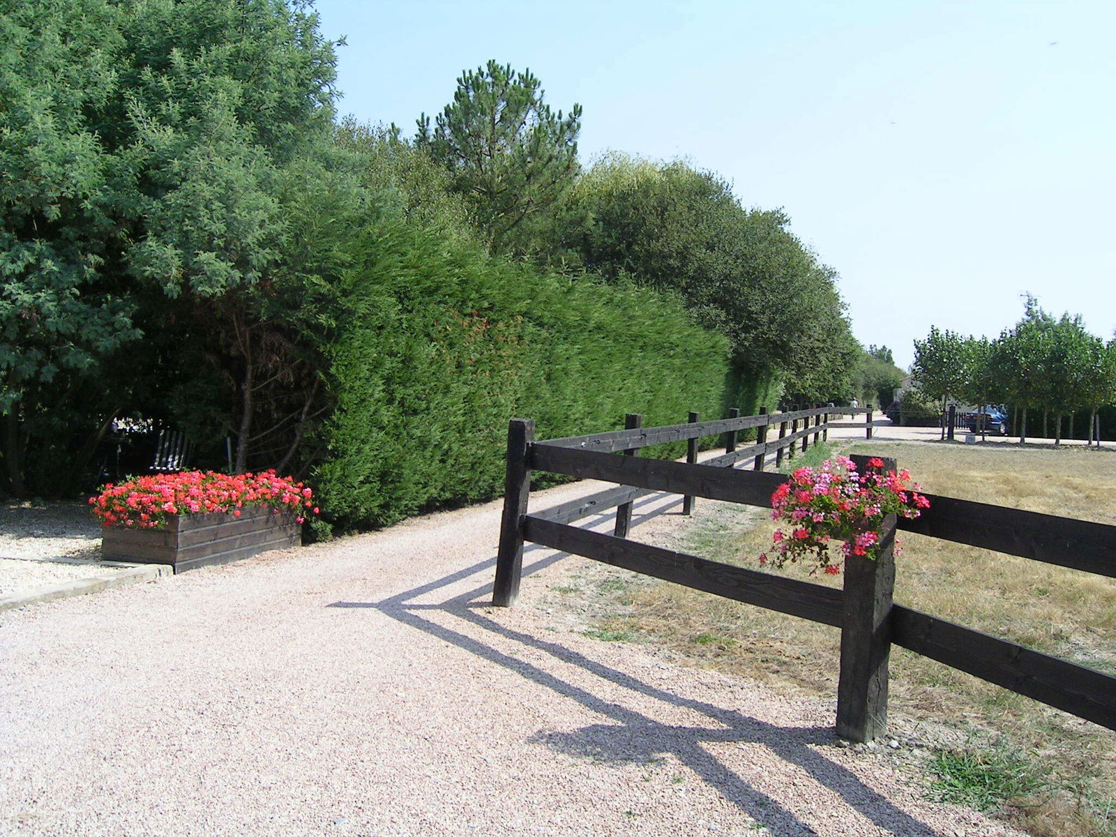 Gastfamilie Sallertaine 62848