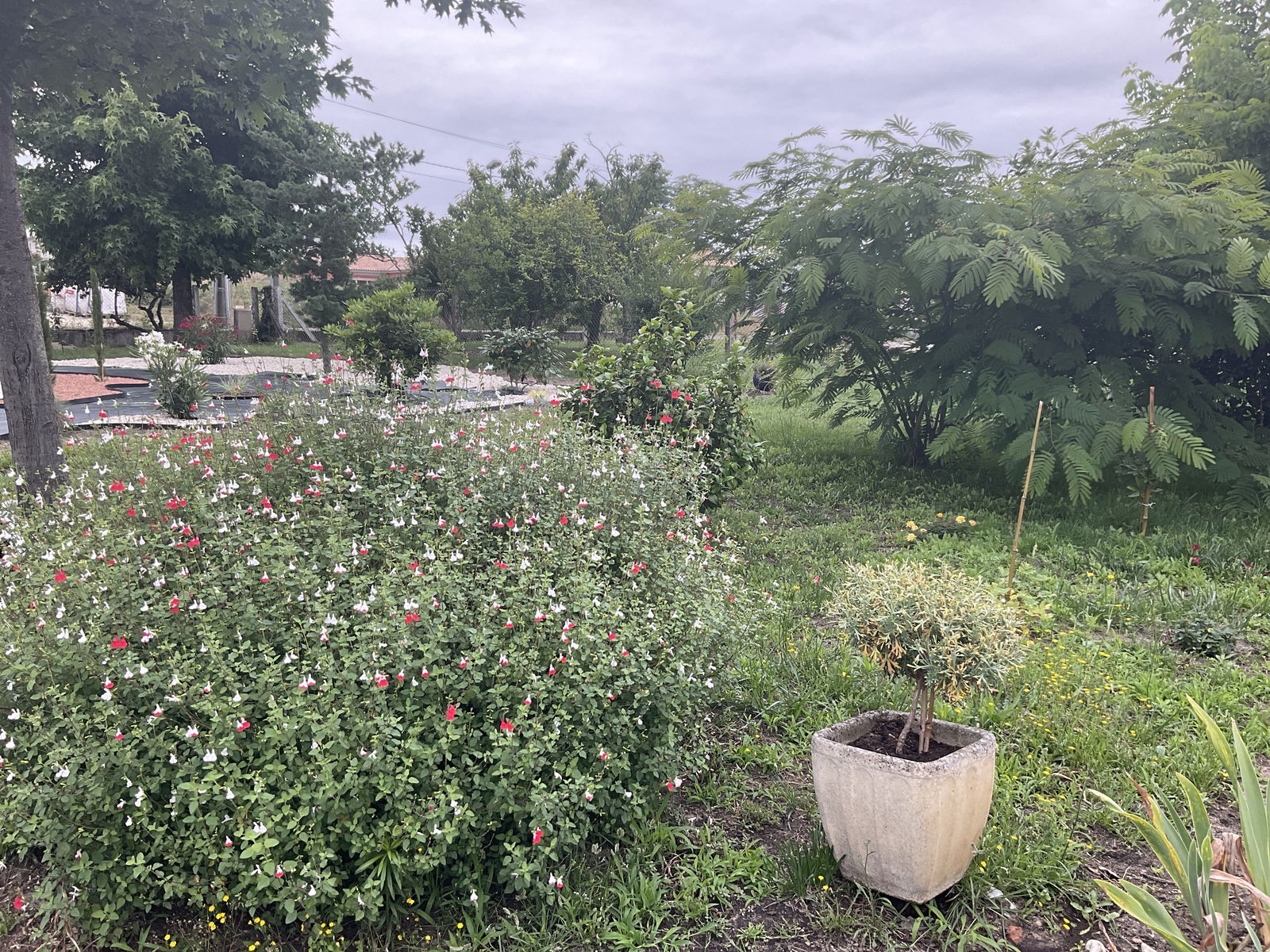 Gastfamilie Langon 250646