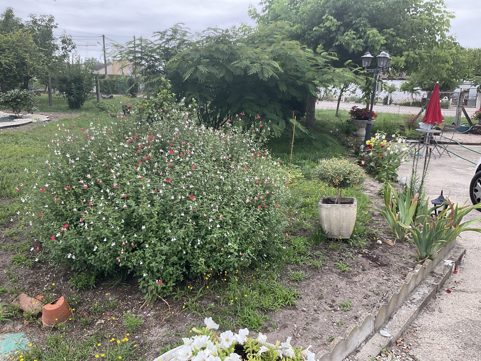 Gastfamilie Langon 250646