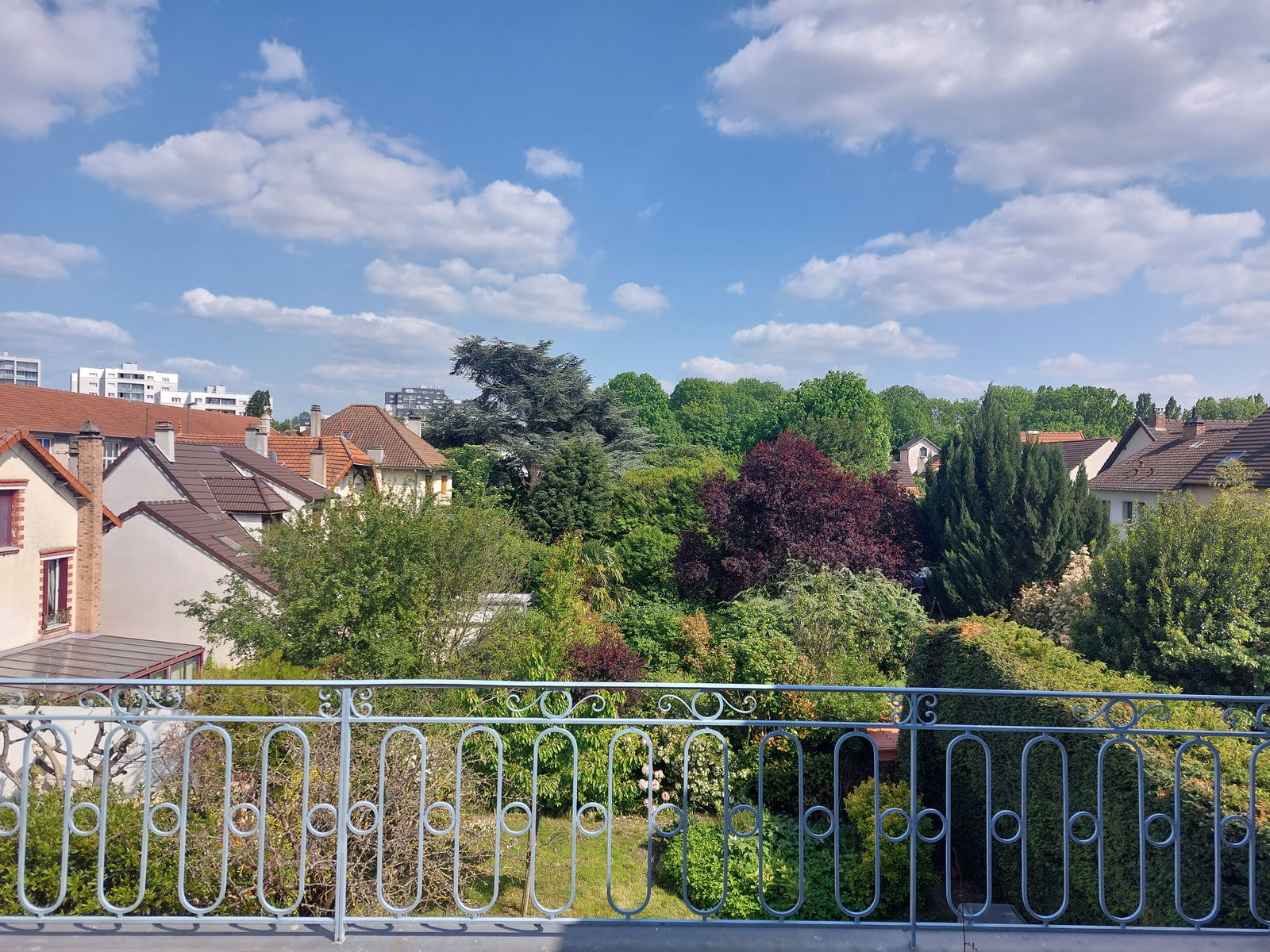 Gastfamilie Antony 266347