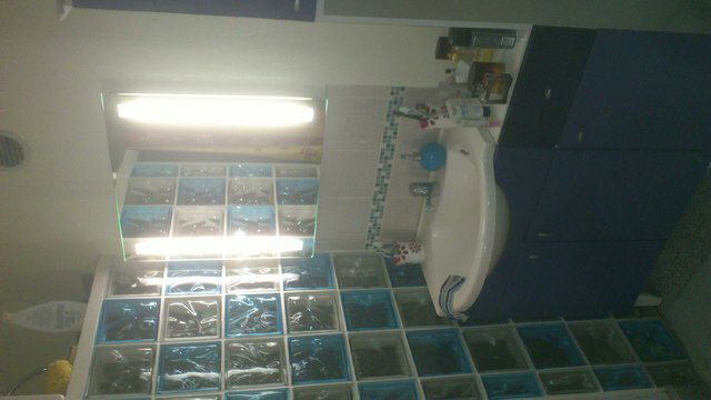 Gastfamilie Paris 52007