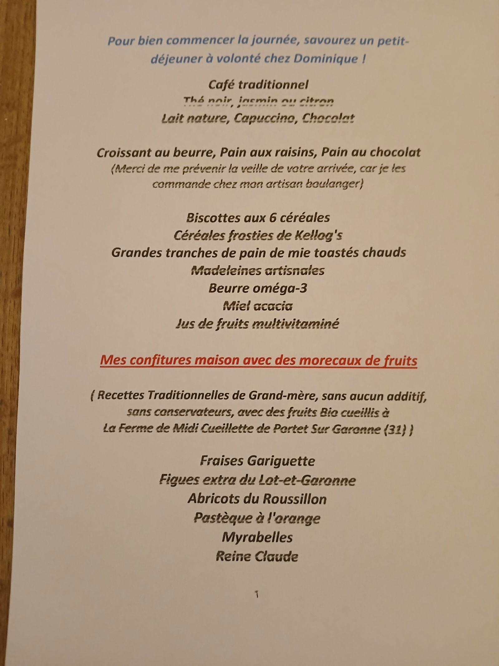 Gastfamilie Toulouse 451253