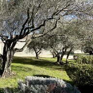 Oberoende Studio Miramas 505921