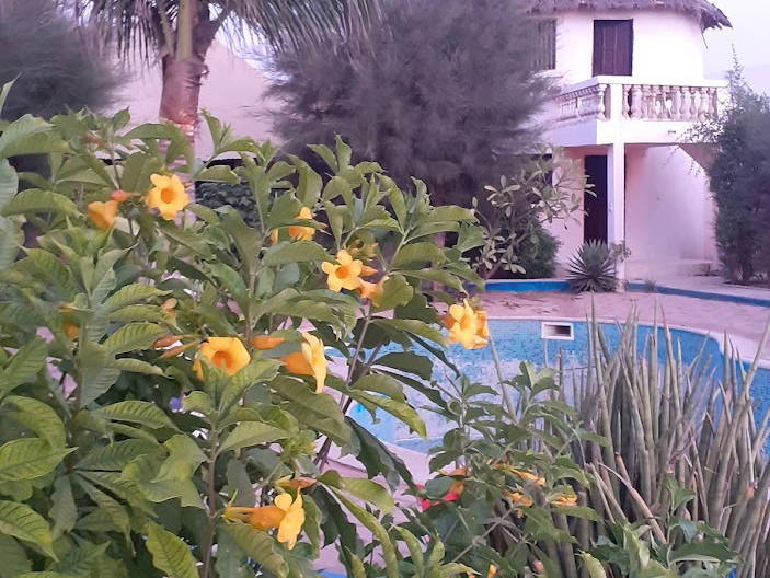 Homestay M'bour 256376-2