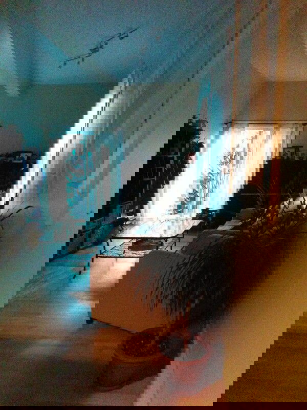 Gastgezin Montréal 281496