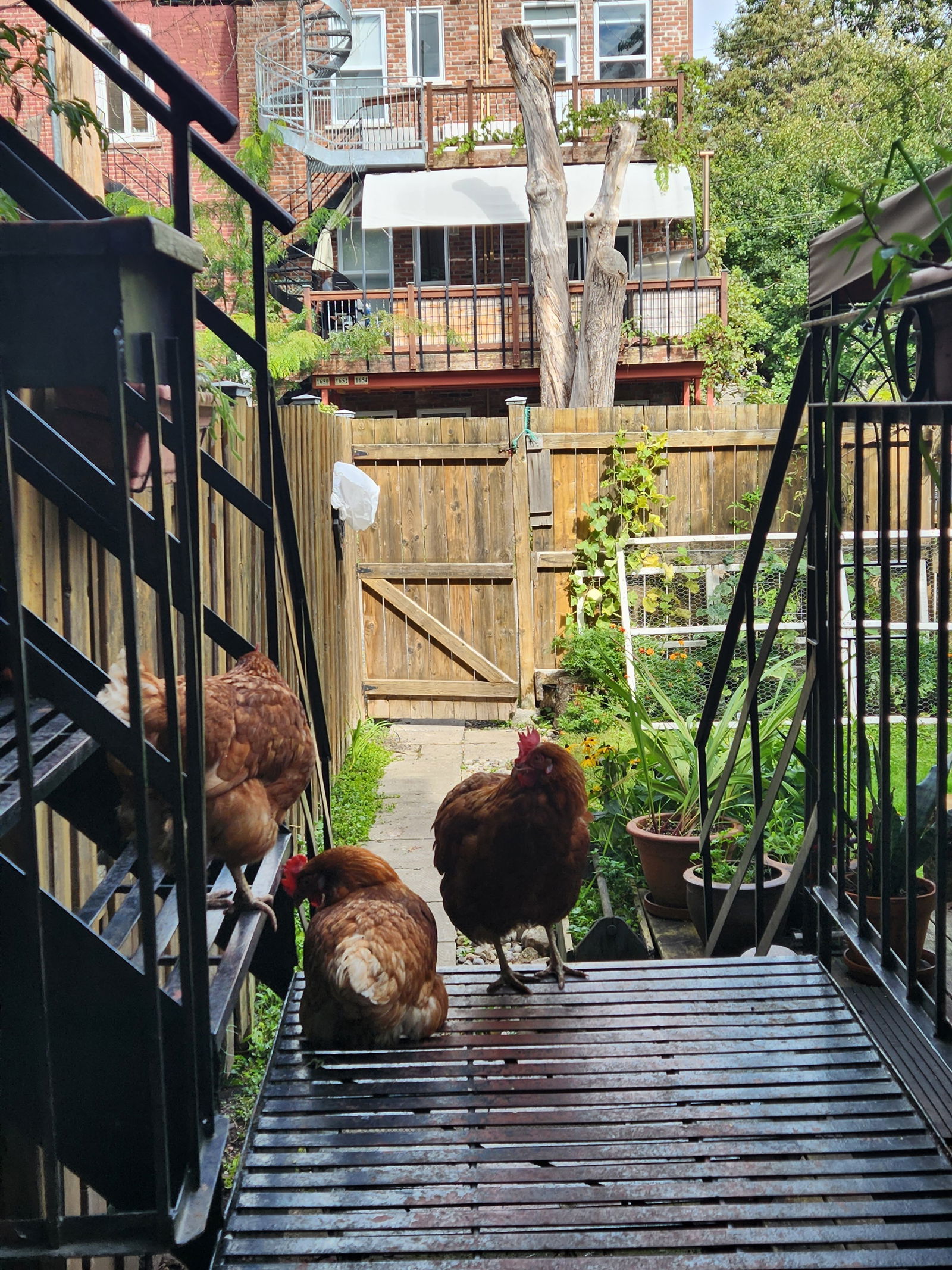 Gastgezin Montréal 281496