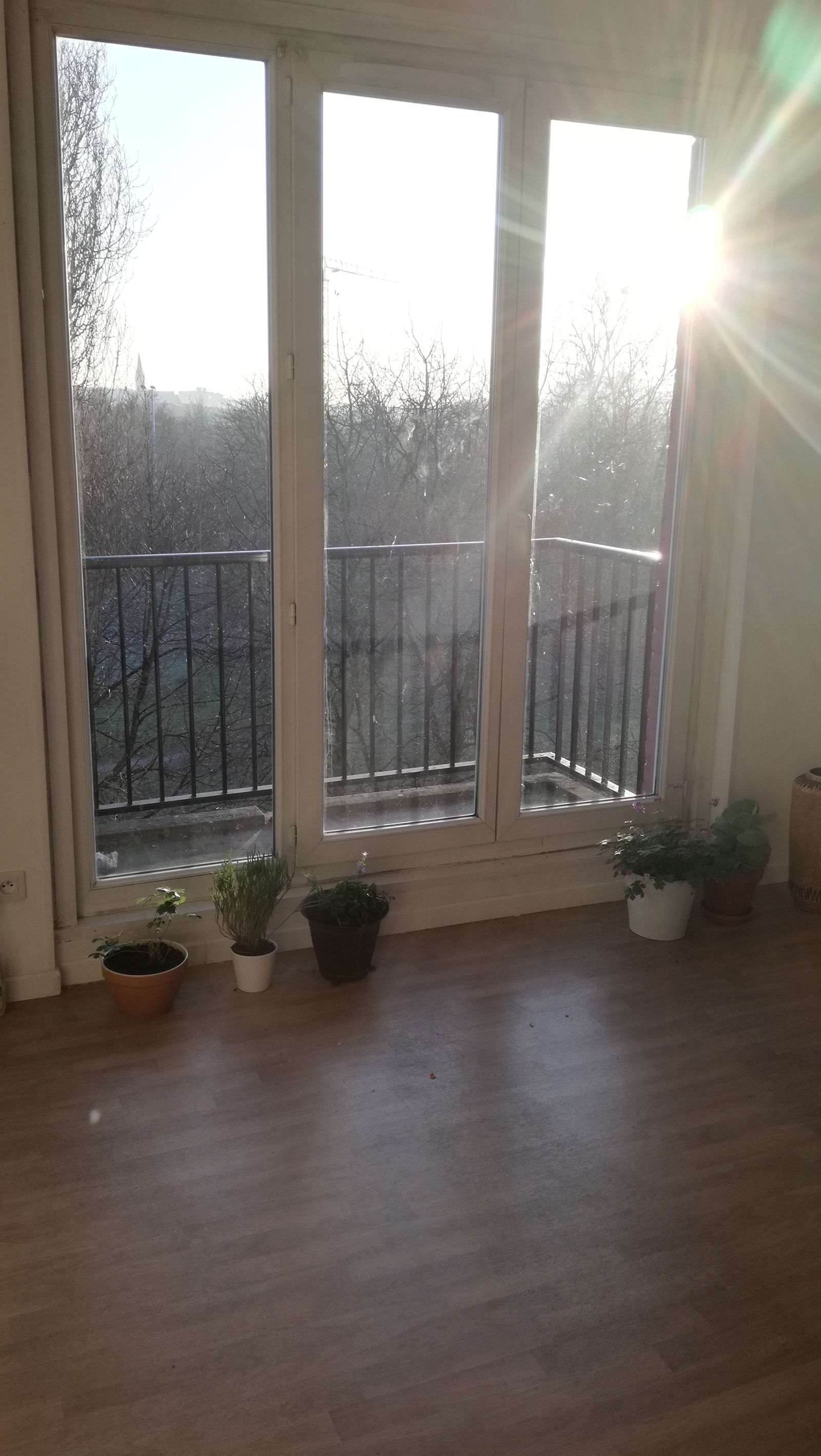 Colocation Lille 160774