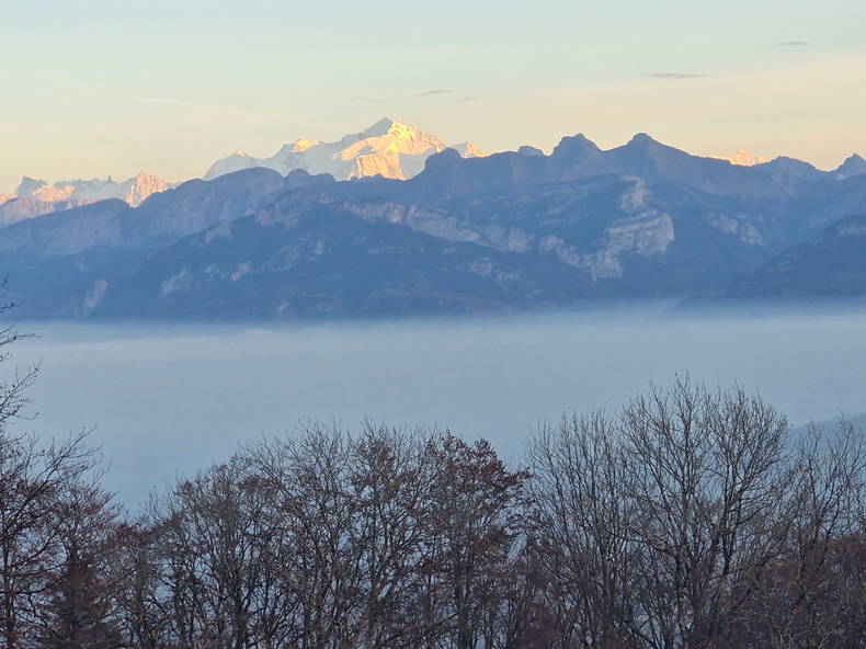 Colocation Domont 450033-2