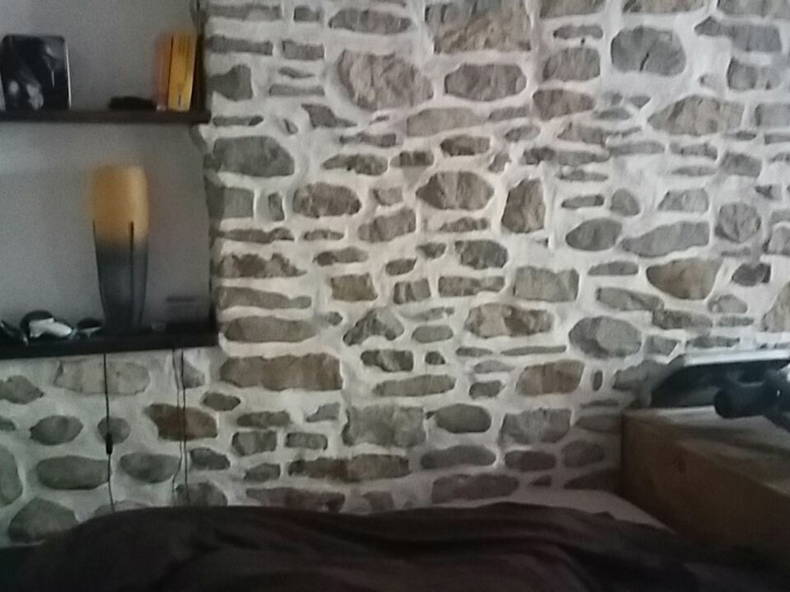 Kolokasie Grilly 191179-3