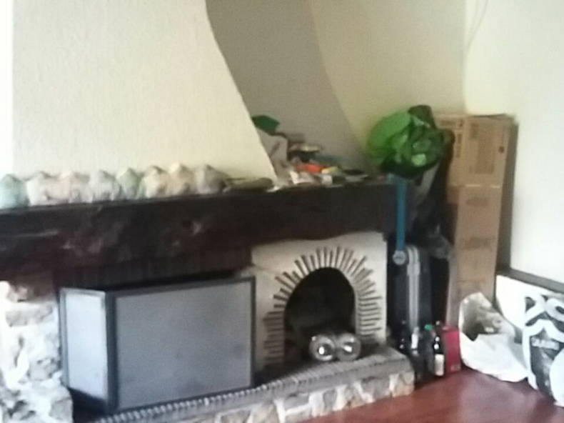 Kolokasie Grilly 191179-2