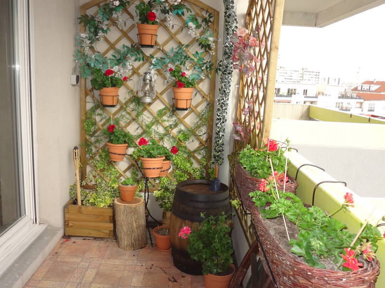 Kolokation Villeurbanne 64516-4