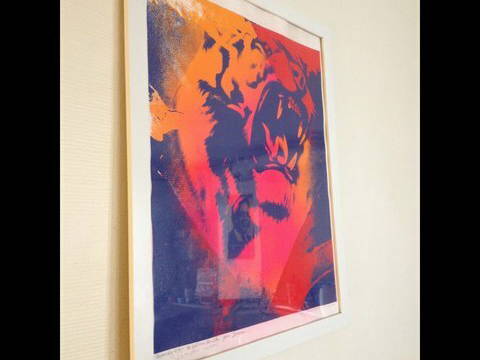 Colocation Paris 56062-4