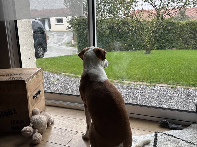 Tuisverblyf Mauges-sur-Loire 475671-2