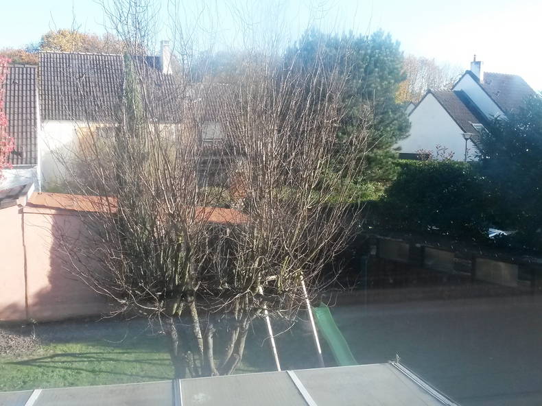 Homestay Courcouronnes 88274-2