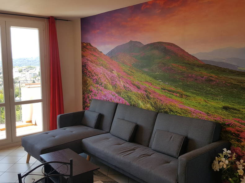 Colocation Pau 213239-1