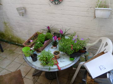 Shared Accommodation Forest 124618-4